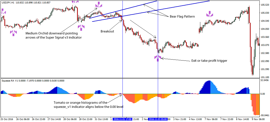 Flag strategy forex